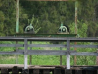2016-05-13 13h15m22 - Grote gele kwikstaart - Gerda van der Meer